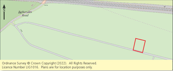 Lot: 85 - TWO FREEHOLD PLOTS OF WOODLAND -